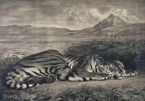 Le Tigre Royale