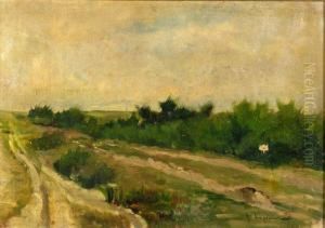 "paisaje" "paisaje"