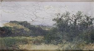 Paisaje Paisaje