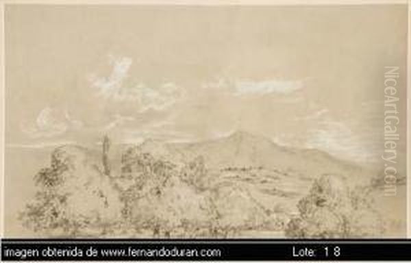Untitled - view 1