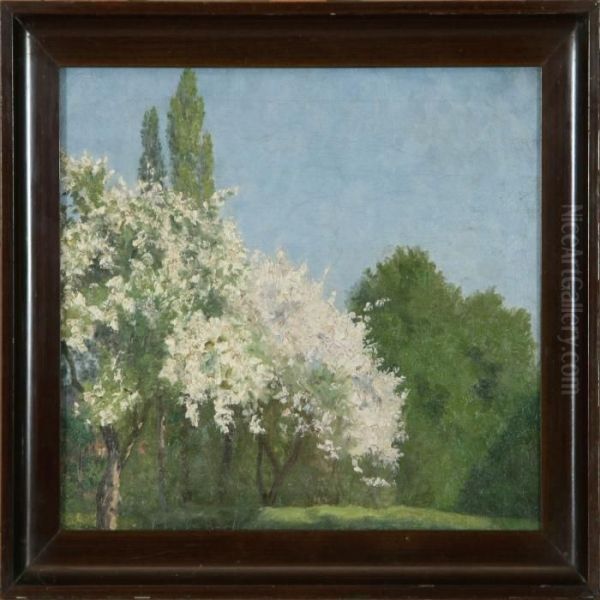 Sommer Scenery With Blooming Fruit Trees - view 1