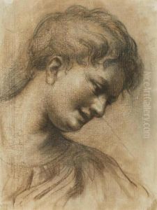 Head Of A Young Man Head Of A Young Man