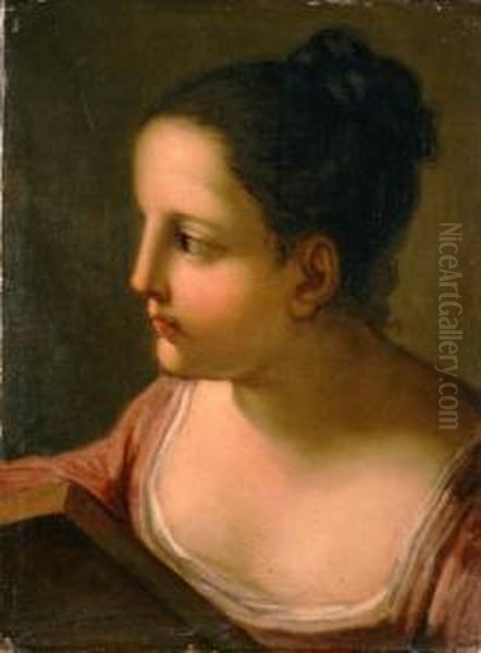 Giovane Donna A Mezzo Busto Con Libro(sibilla?) - view 1