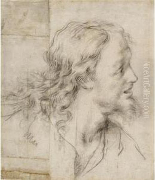 Recto: The Head Of Christ Verso: Study For A Flagellation - view 1