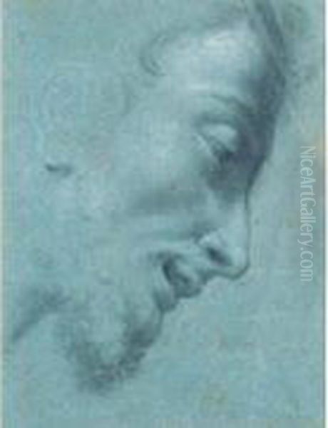 Tete D'homme Barbu Vue De Profil - view 1