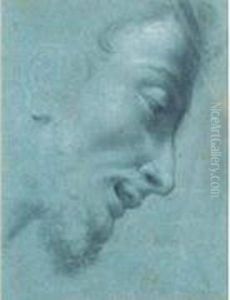 Tete D'homme Barbu Vue De Profil by Benedetto Luti