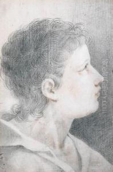 Study Of A Boy's Head - view 1