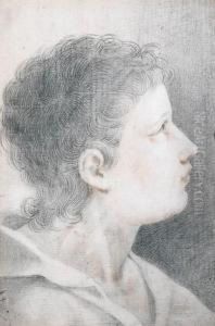 Study Of A Boy's Head