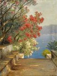 Spring By The Comer See
