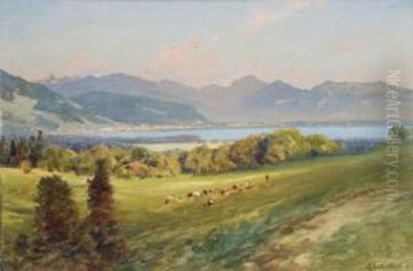 Der Genfer See Mit Blick Auf Montreux - view 1