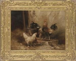 Ruler Of The Roost