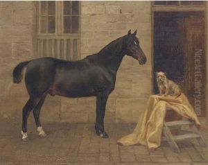 Moorman, A Cob And Pixie, A Terrier Outside A Stable