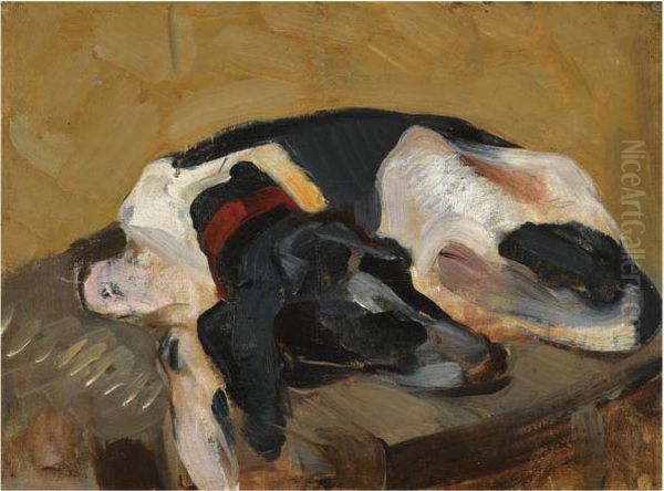 Sleeping Dog - view 1