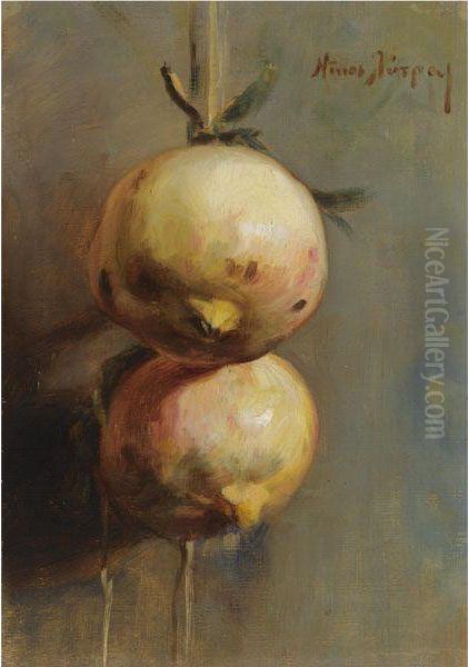 Pomegranates - view 1
