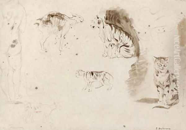 Studies of cats, other felines and two female nudes seen from behind - view 1