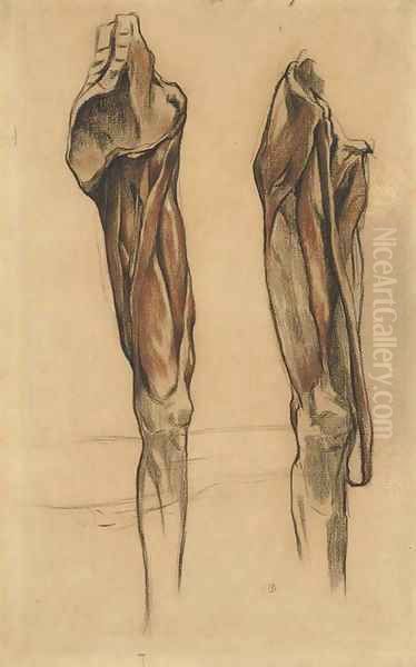 Study of two echorche legs - view 1