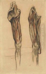 Study of two echorche legs