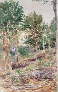 Woodland Scene by James Edward Hervey MacDonald