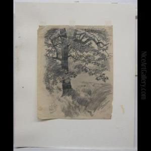 Oak - High Park - Aug '15 by James Edward Hervey MacDonald