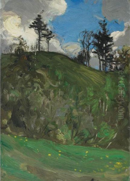 Humber Valley - view 1