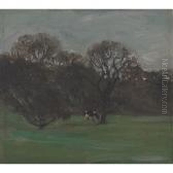 Humber Valley - view 1
