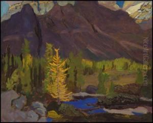 Tamarack And Mountain Stream, Lake O'hara Camp