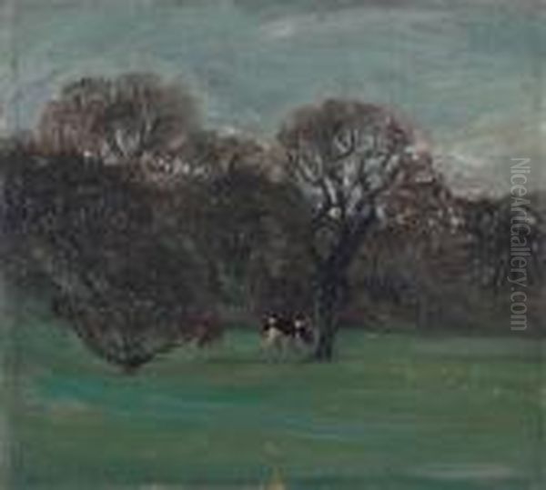 The Humber Valley - view 1