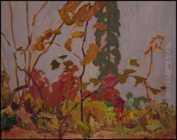 Autumn Colour, Algoma - view 1