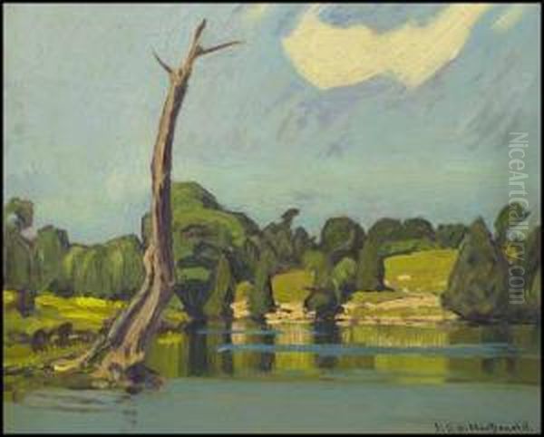 Little River - view 1