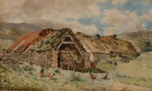 Poultry By Old Farm Buildings - view 1