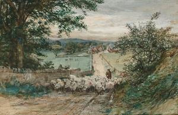 A Shepherd With His Flock - view 1