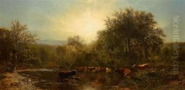 Cows Watering - view 1
