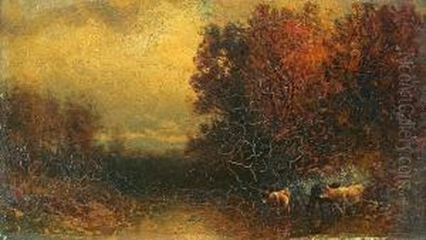 Cows Drinking From A Stream - view 1