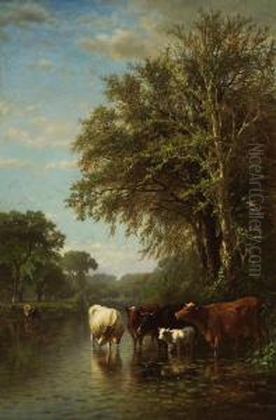 Cows In A Stream - view 1