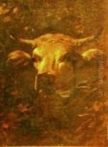 Head Of A Cow