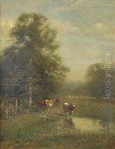 Cattle In A Pasture