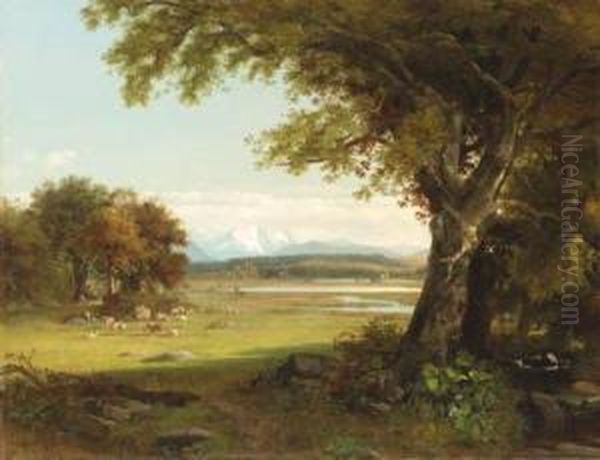 Sheep Grazing In The Meadow - view 1