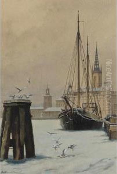Winter Morning, Stockholm - view 1