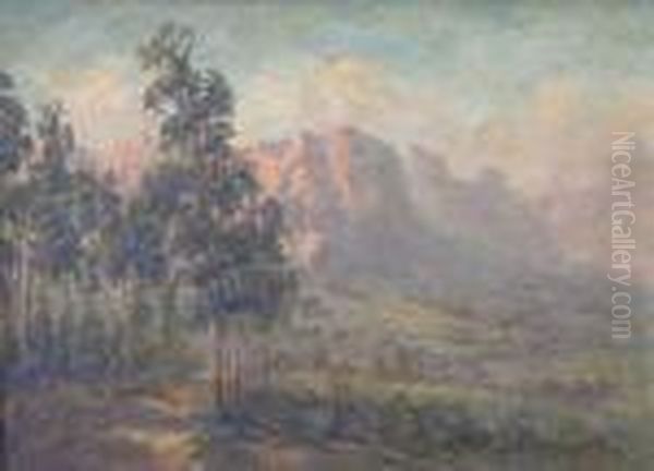 Morning In The Vineyard, Springtime, Drakenstein - view 1