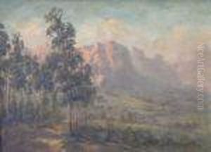 Morning In The Vineyard, Springtime, Drakenstein