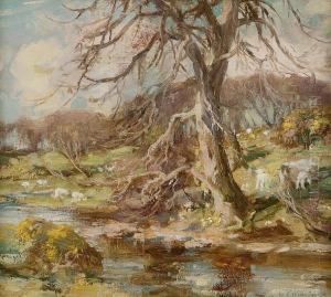 Springtime In Galloway