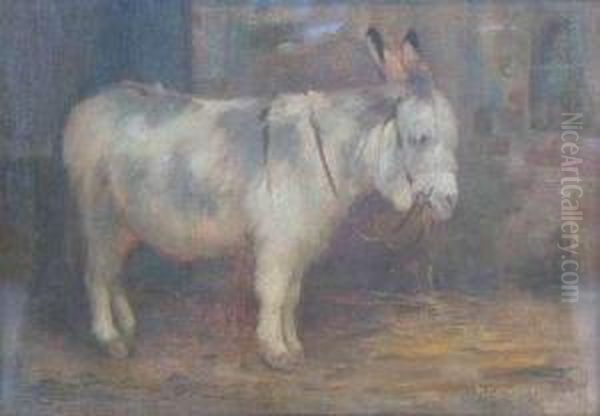 Donkey - view 1