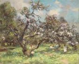 Cherry Blossom by William Stewart MacGeorge