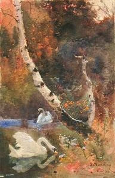 Two Swans By The Bank Of A Pool - view 1