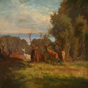 Summer Day With Stags In A Forest by Adolf Henrik Mackeprang