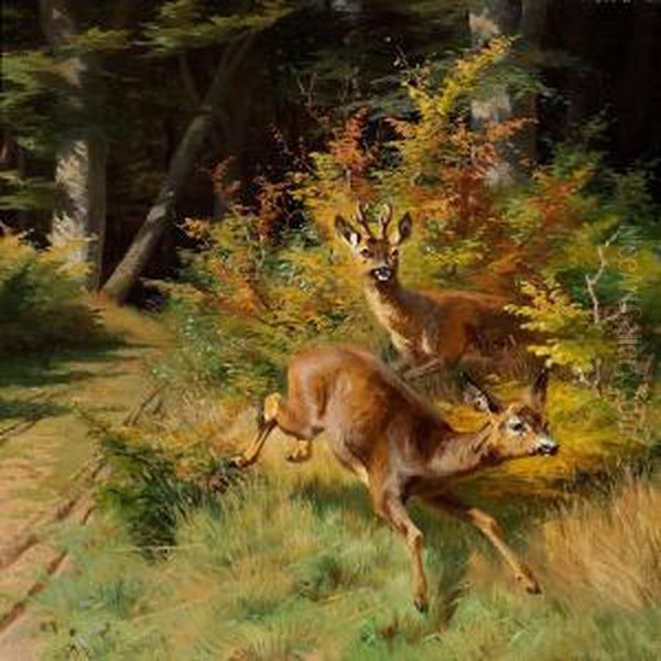 Deer In The Woods - view 1
