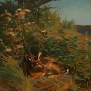 A Hare Hiding In Abush