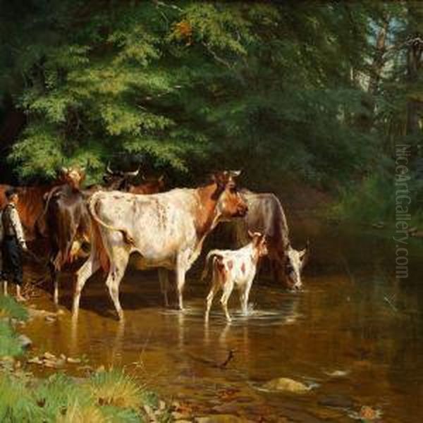 The Cows Are Beingwatered - view 1