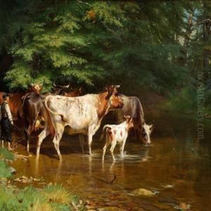 The Cows Are Beingwatered The Cows Are Beingwatered