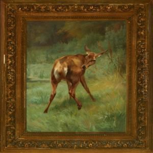 Landscape With Roedeer